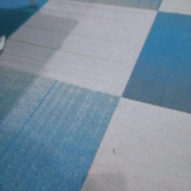 Boxer Roda  Shinpo 60 Liter / Shinpo Cb 60 Sip 113