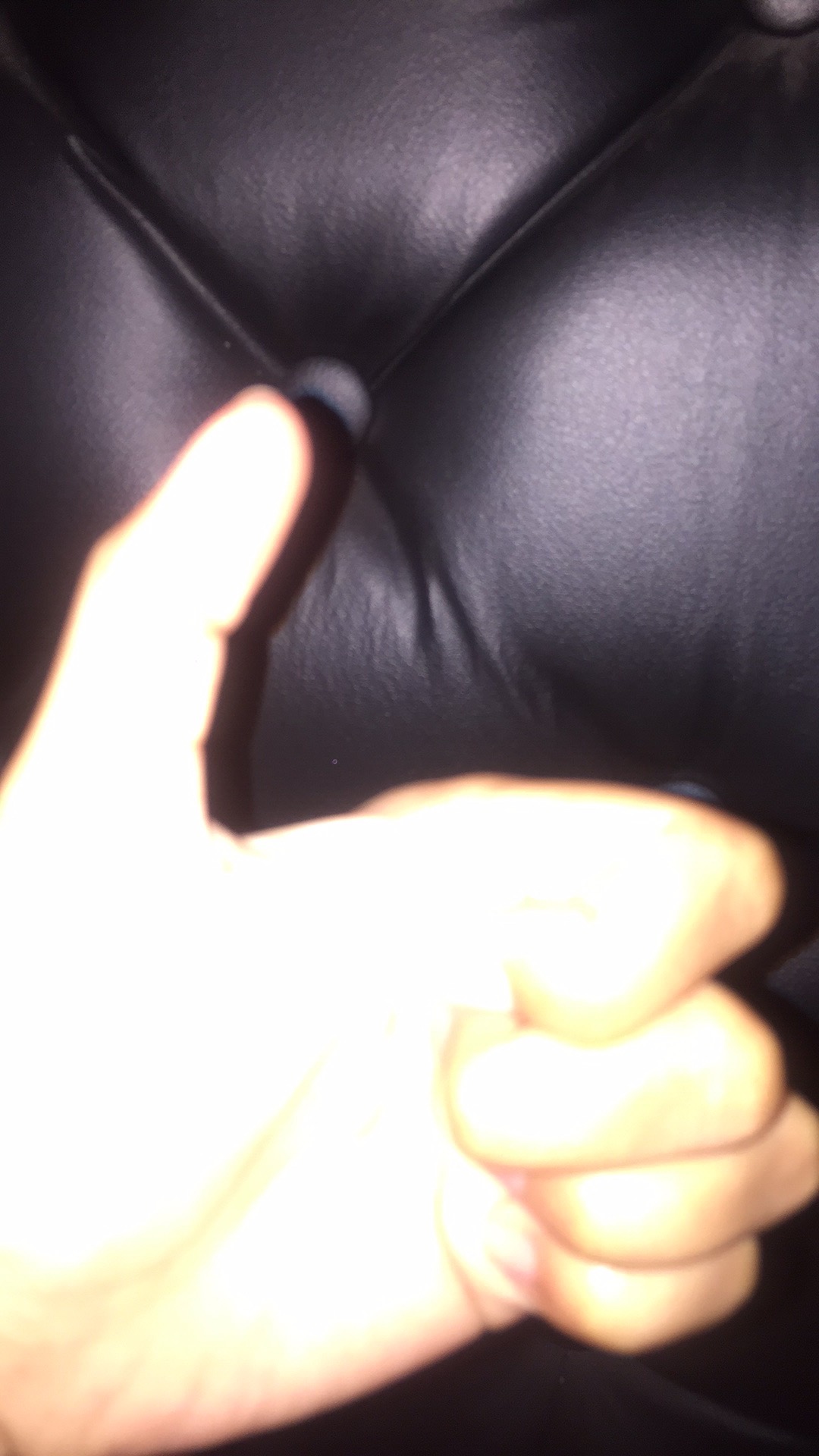 Kemeja Batik Cendrawasih