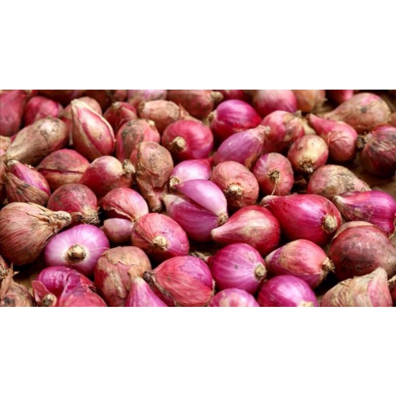 

Bawang merah ukuran 250gr