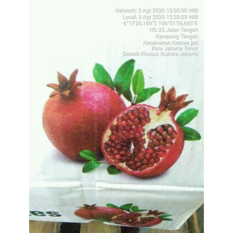 

Buah DELIMA per dus