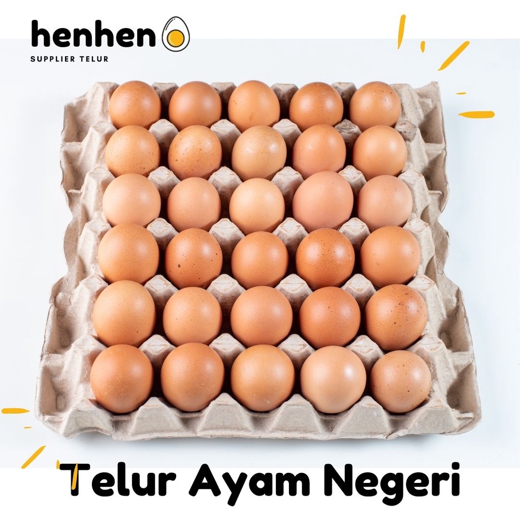 telur ayam negeri  per kg segar supplier telur hen   hen