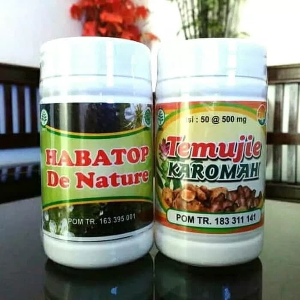 Herbal De Nature Alami, Kapsul Temujie - Habatop Obat Liver
