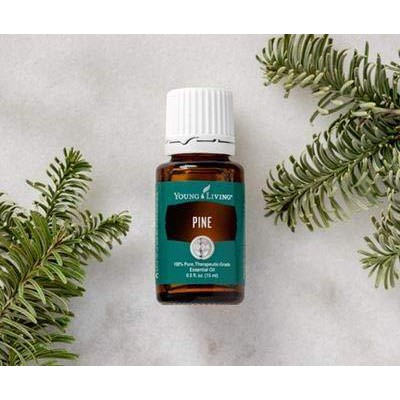 Young Living | Pine Essential Oil | 15 ML