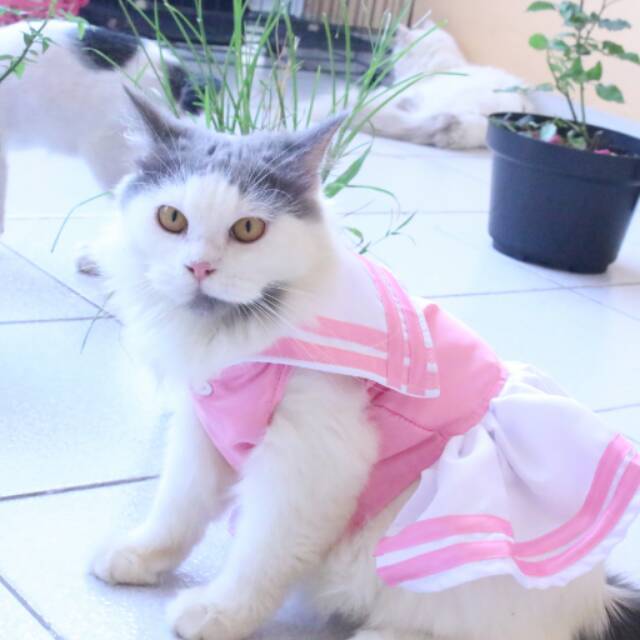 Dress pinky anak sekolah ala jepang / baju kucing anjing / baju lucu size S M L