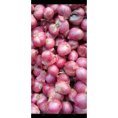 

Bawang Merah Asli Madura Murah Asal Sumenep Pamekasan Sampang Bangkalan Dari Petani