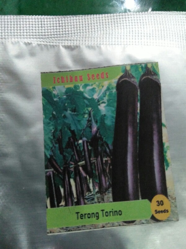 Benih Bibit Biji Terong Torino Ungu Panjang Kemasan Alumunium Foil