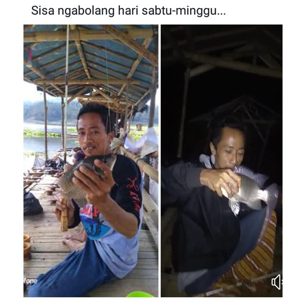 jual essen lumut essen jawara