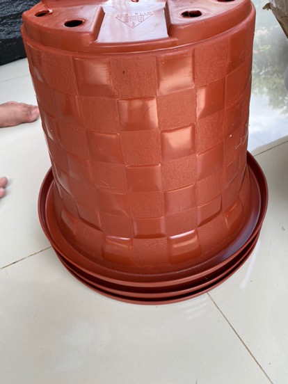 Pot Bunga Akasia Motif Catur 30