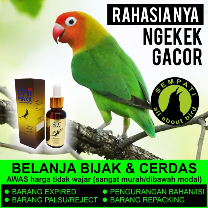Dftoiutamtam Optimaxx Obat Vitamin Tetes Burung Kicau Lovebird Gacor Doping Atp Ops