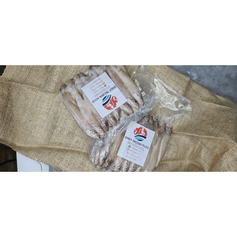 Ikan kaca piring/ ikan rejung/ Silver sillago