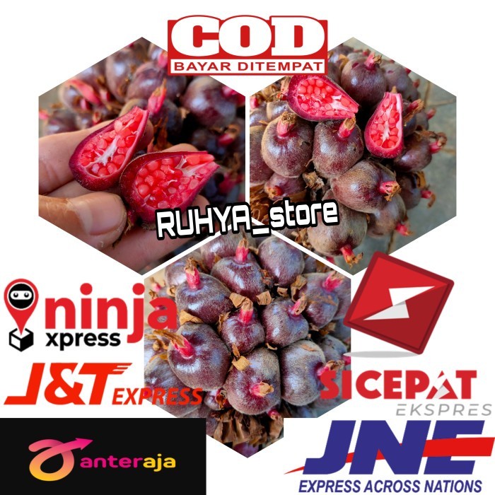 

Buah Honje Laka-Honje Merah 500gr - Honje Tua segar fresh