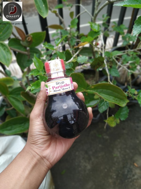 

Sirup Buah Parijoto 250 Ml