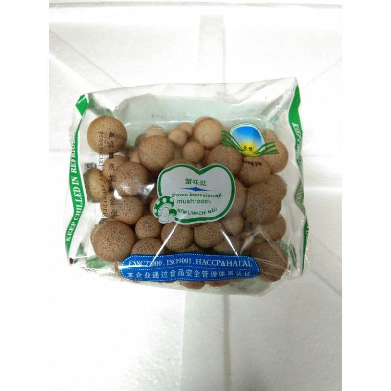 

jamur shimeji coklat