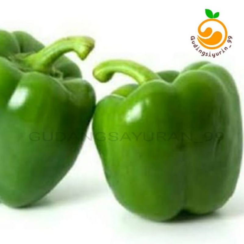 

Paprika hijau 250 gram