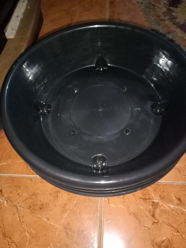 Bjp Bonsai 06 Bulat 35cm Pot Bunga Bonsai Bulat Ceper Ori Budi Jaya 06