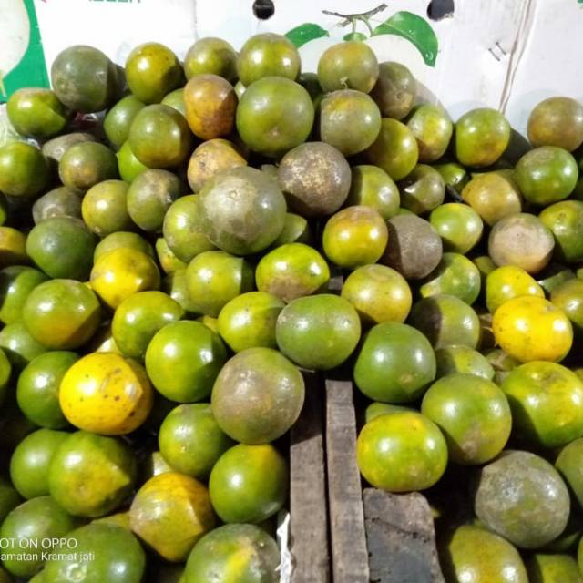 

Jeruk pontianak 1kg