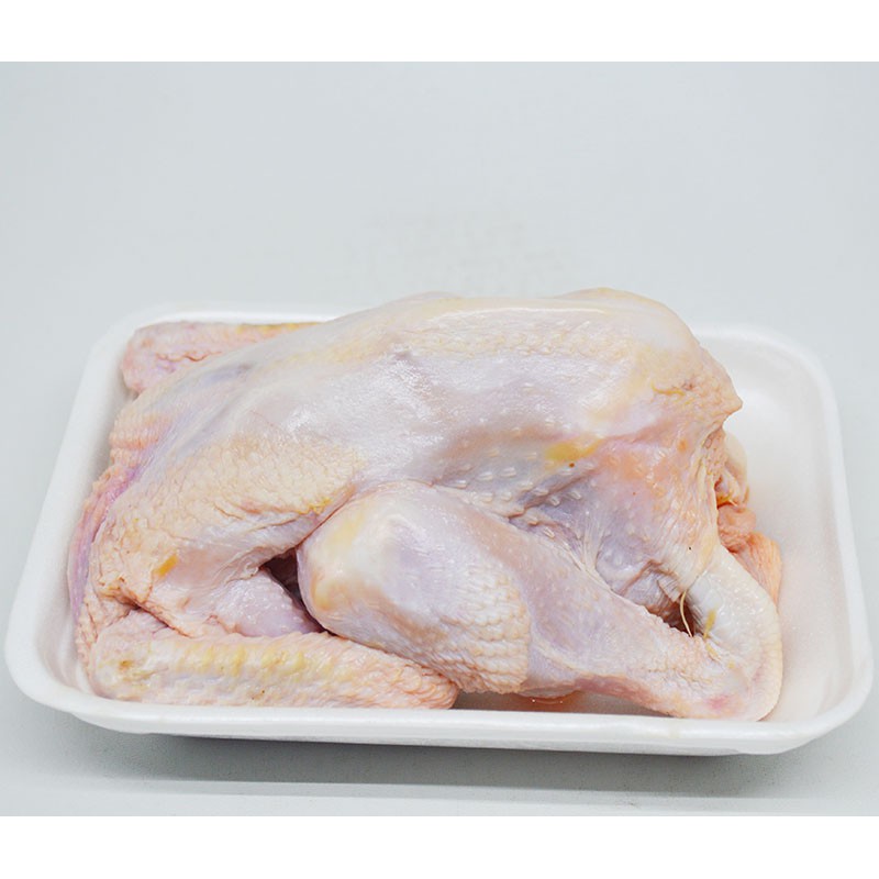 

AYAM KAMPUNG (Khusus Surabaya-Sidoarjo)