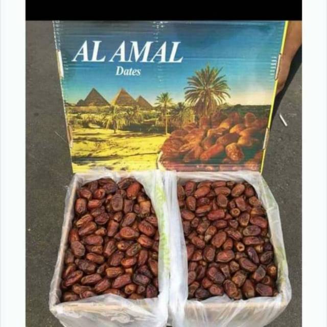 

Kurma Al Amal