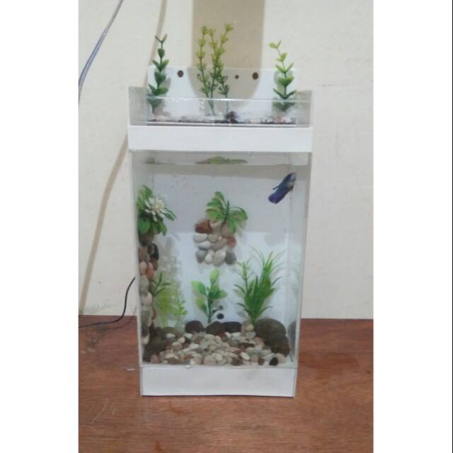 Aquarium/aquascape mini PVC & akrilik lengkap dengan filter & pompa air mini usb