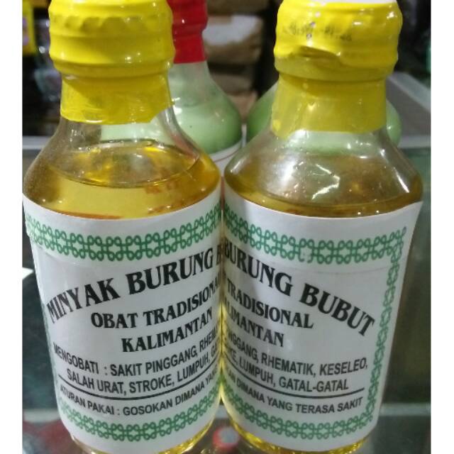 Minyak burung bubut /minyak urut khas kalsel