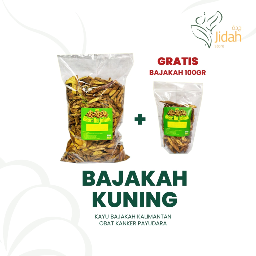 AKAR BAJAKAH KUNING  ASLI KALIMANTAN 100% / KAYU BAJAKAH KALIMANTAN OBAT KANKER PAYUDARA