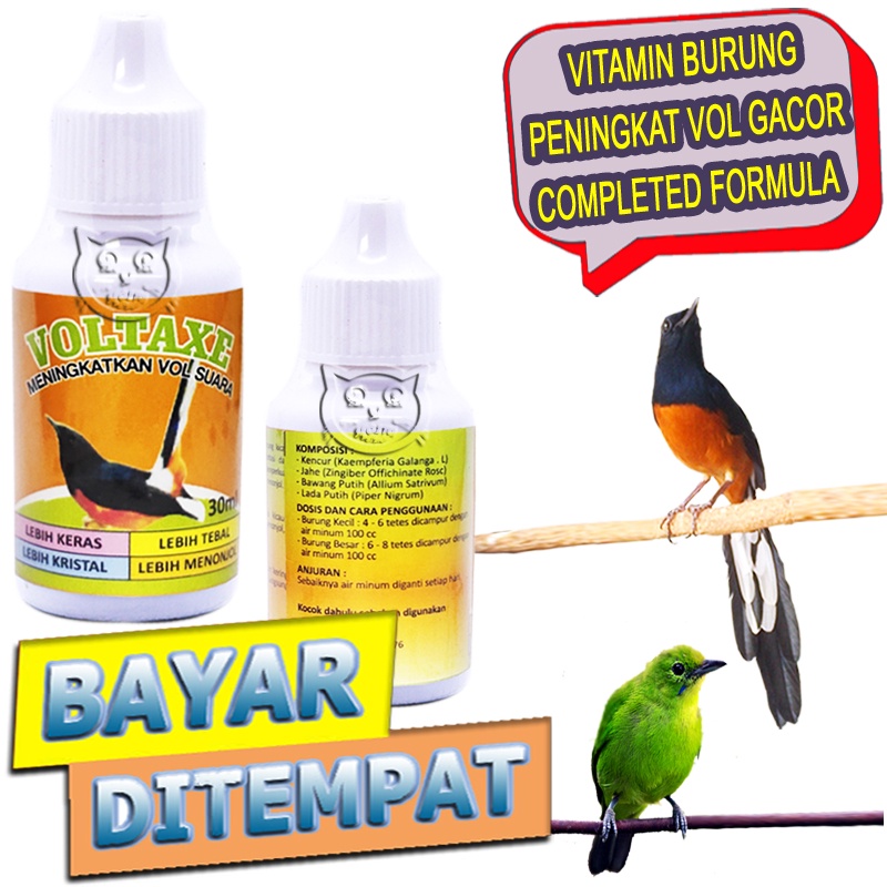 Voltaxe Vitamin Suara Burung Obat Penggacor