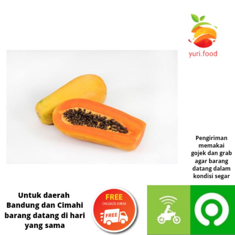 

Pepaya 1 buah (Cimahi satu hari sampai)