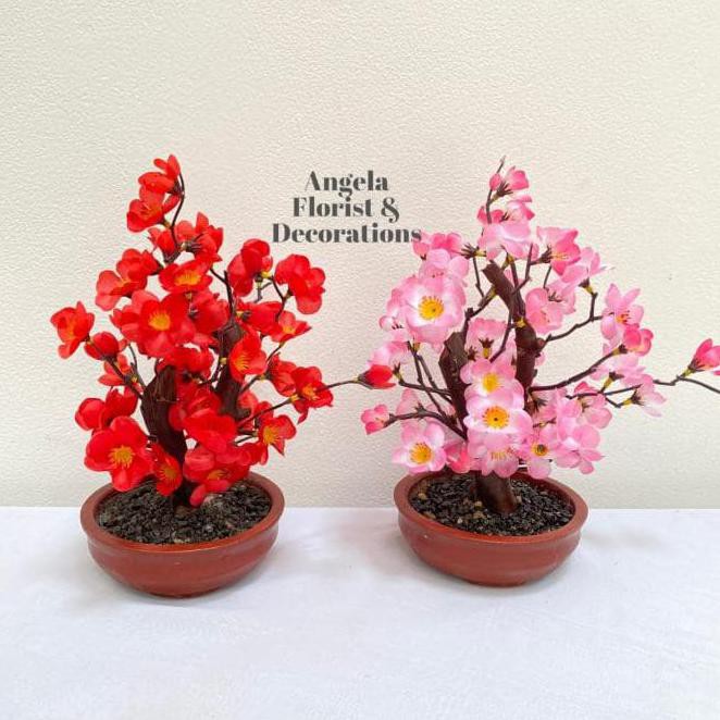 Promo Pohon Meihua Sakura Imlek | Pot Meihua Hiasan Imlek | Bunga