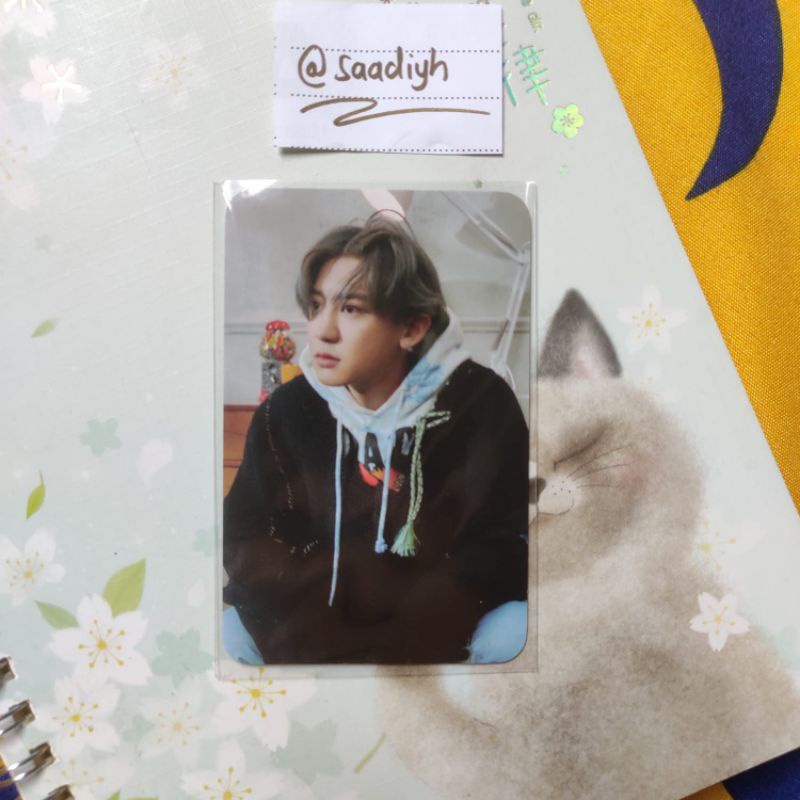 EXO DFTF Chanyeol XR Gallery Photocard