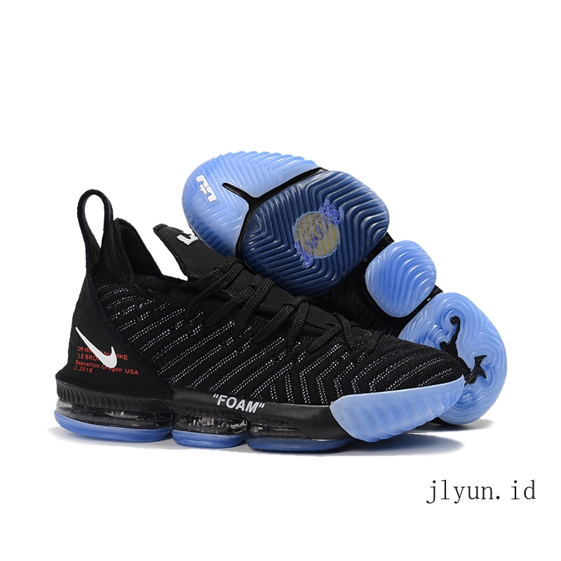 basket lebron james 16