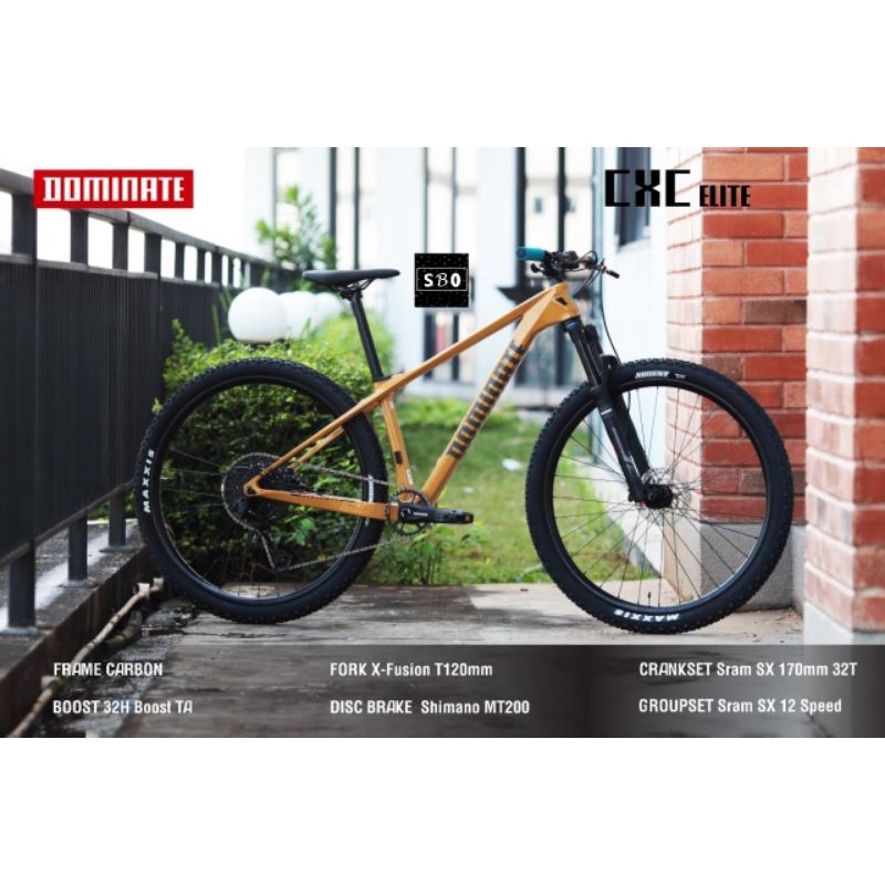 Dominate CXC Elite Carbon Fullbike