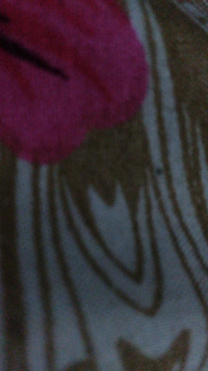 Pisau Dianjin Tanggung 6 / Pisau Besi Stainless Super Tajam Dianjin