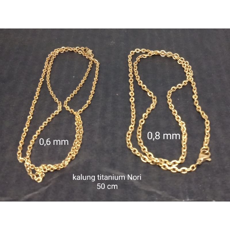 RLnor50. Kalung titanium model Nori 50 cm