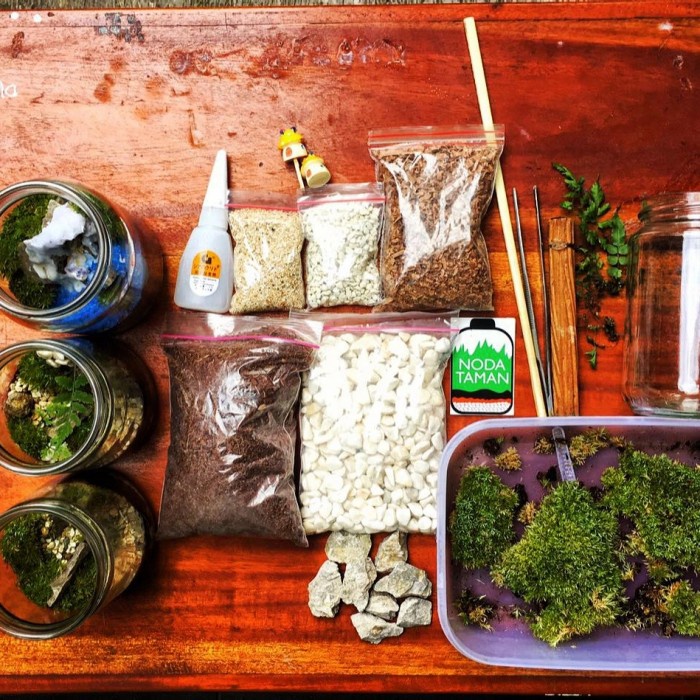 Jual Terrarium Kit By Nodataman (Bahan Dan Alat Untuk Membuat Terrarium) Ready Shopee Indonesia