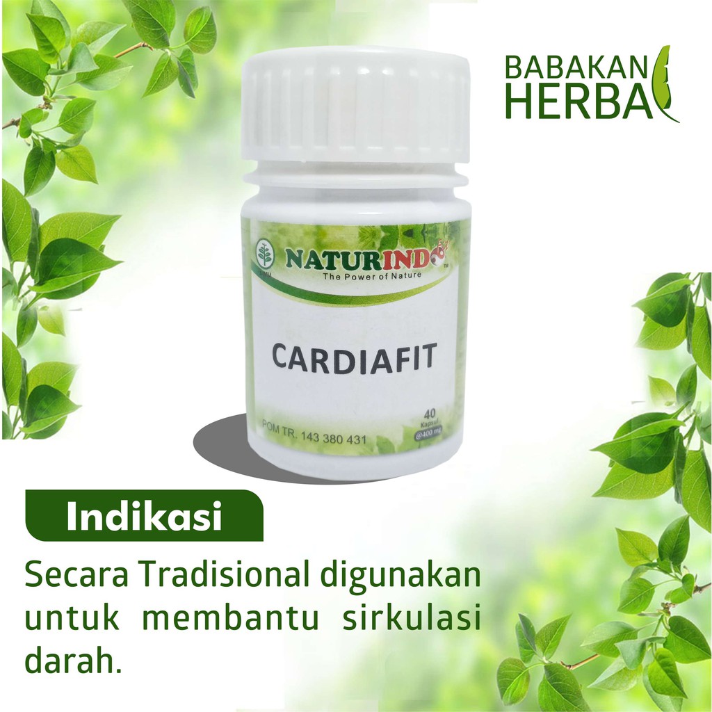 

Naturindo CARDIAFIT Babakan Herbal Obat Herbal Membantu Sirkulasi Darah