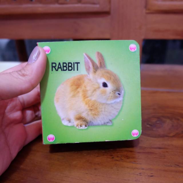 Boardbook Bayi Mengenal Hewan Bahasa Inggris Buku Boardbook Bayi Mengenal Hewan Bahasa Inggris Buku