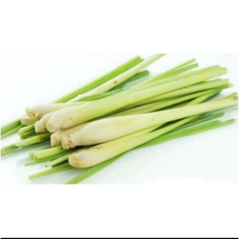 

daun sereh 100gr