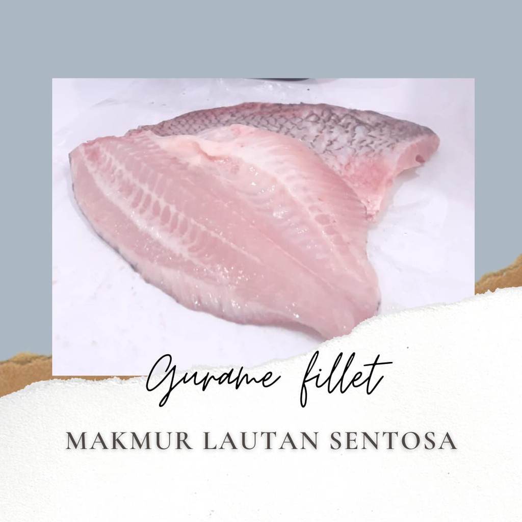 

IKAN GURAME FILLET FRESH SEGAR 1KG