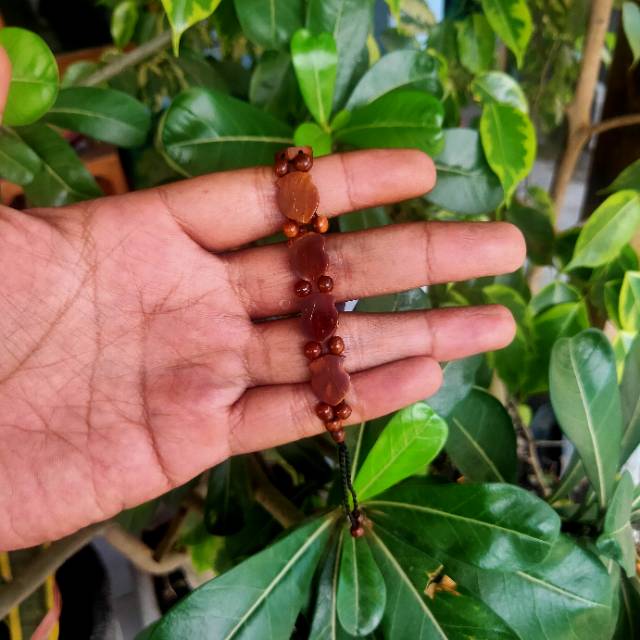 Gelang kaukah trompah / gelang kaokah / gelang koka / gelang kokka / gelang kaoka / gelang kauka