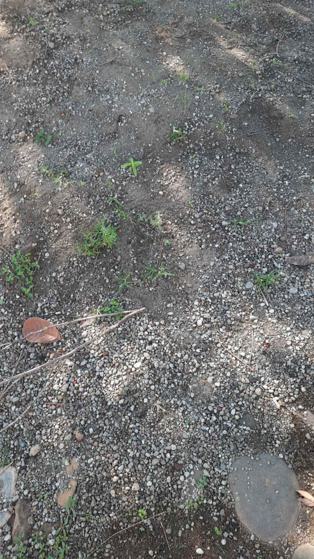 Timbangan Dapur Digital / Kitchen Scale / Timbangan Digital Max 10kg