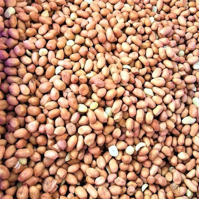 

KACANG TANAH 500 GRAM - FC PALEMBANG