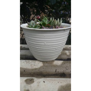 POT BUNGA - POT BUNGA PLASTIK - POT TANAMAN - POT TAWON -POT TAWON LUSINAN - POT TAWON 25 LUSIN- PO