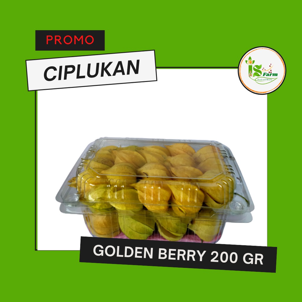 

Buah ciplukan / Golden berry 200 gram promo dijamin paling murah.!!
