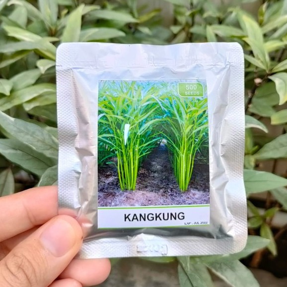 benih kangkung - bibit kangkung - RS