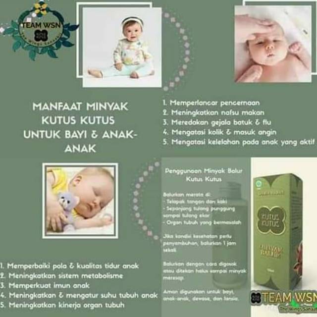 Minyak balur kutus kutus 1000 manfaat