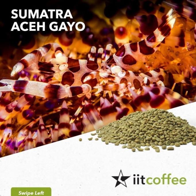 

Arabica Green Beans - Sumatra Aceh Gayo Semi Washed