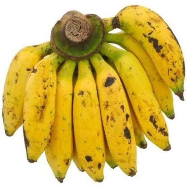 

Pisang Uli 1 Sisir