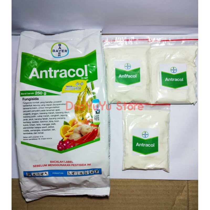 Fungisida Antracol 70wp Repack 25gr Obat Jamur Tanaman Shopee Indonesia