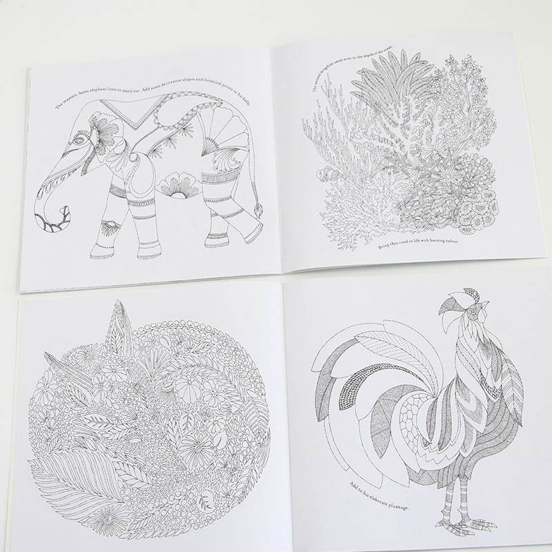 1 Pc Buku Gambar Mewarnai 24 Halaman Motif Binatang Bahasa Inggris Untuk Anaksekolahkantor-6