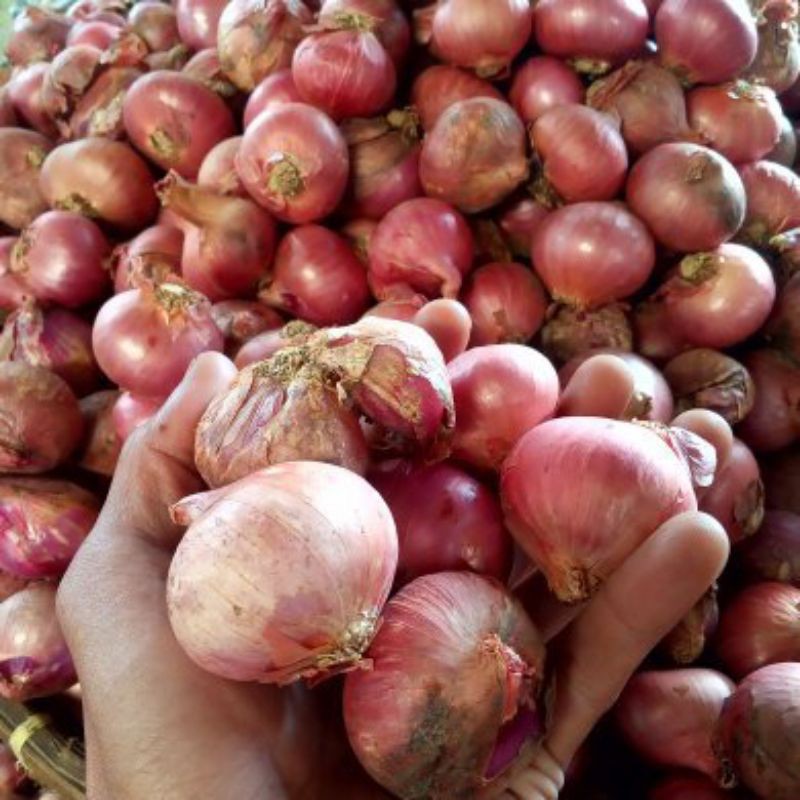 

Bawang Merah 1kg Gram